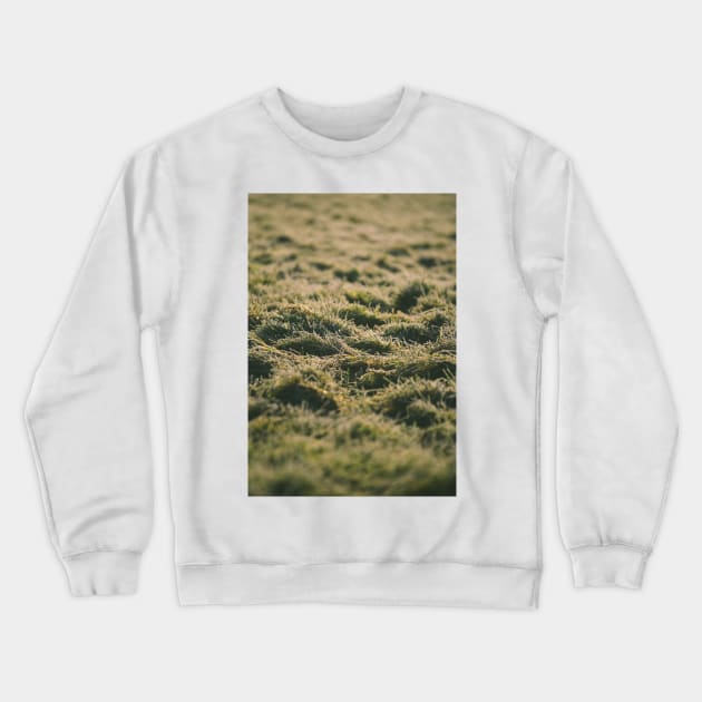 Grass Grass Grass Crewneck Sweatshirt by XOXOX